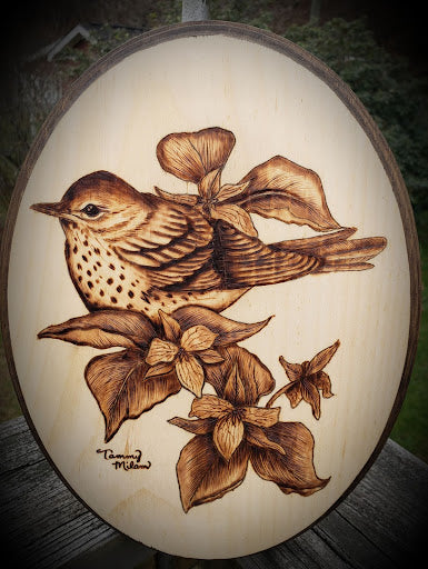 Brown Thrush